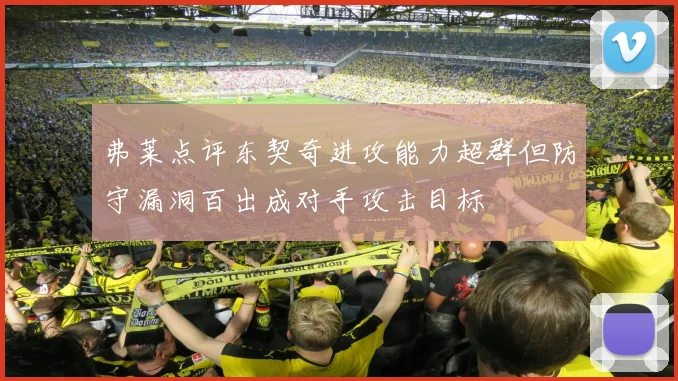 弗莱点评东契奇进攻能力超群但防守漏洞百出成对手攻击目标