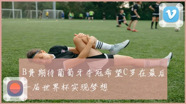 B费期待葡萄牙夺冠希望C罗在最后一届世界杯实现梦想
