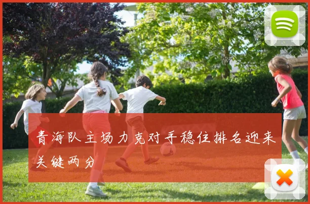 青海队主场力克对手稳住排名迎来关键两分